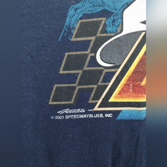 Vintage NASCar The King Richard Petty Racing Double Sided 2001 Cygnus Size L - Picture 5 of 10